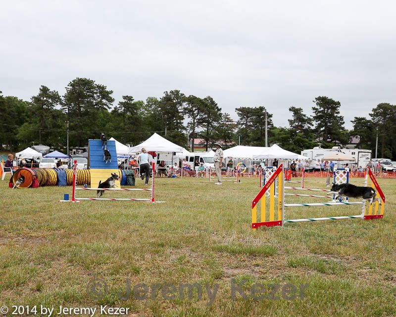 20140614-comp-0147.jpg