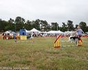 20140614-comp-0152