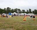 20140614-comp-0157