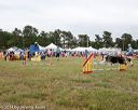 20140614-comp-0158