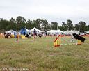 20140614-comp-0159