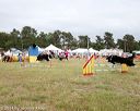 20140614-comp-0163