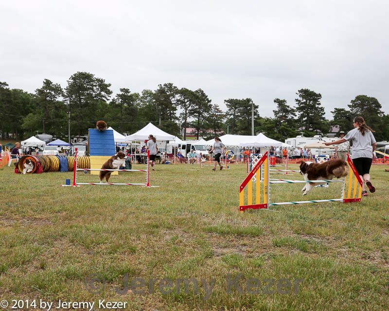 20140614-comp-0151.jpg