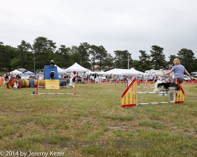 20140614-comp-0152.jpg