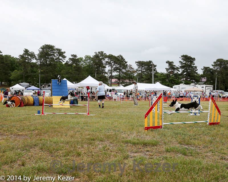 20140614-comp-0154.jpg