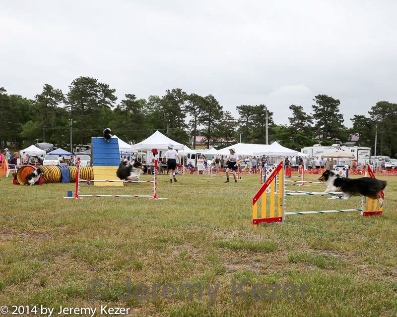 20140614-comp-0155.jpg