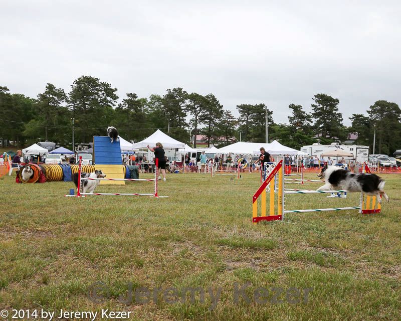 20140614-comp-0157.jpg