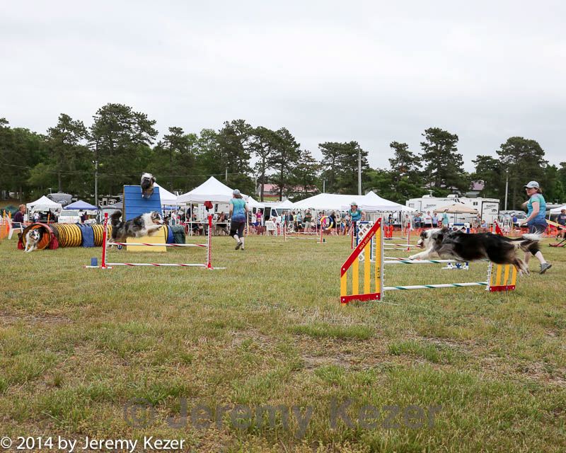 20140614-comp-0158.jpg