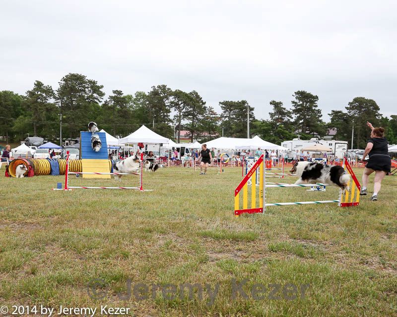 20140614-comp-0160.jpg