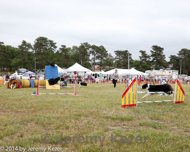 20140614-comp-0161.jpg