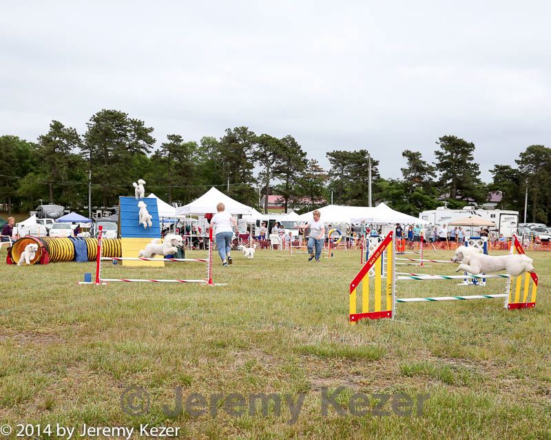 20140614-comp-0162.jpg