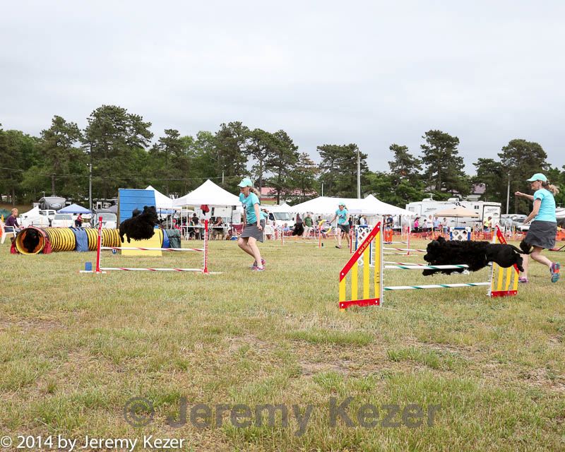 20140614-comp-0164.jpg