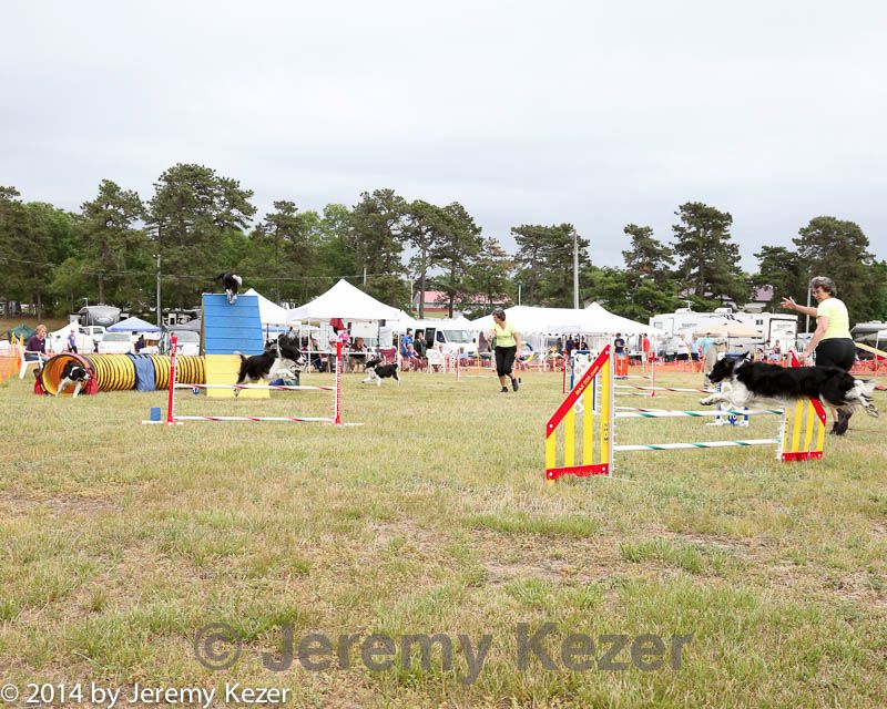 20140614-comp-0165.jpg