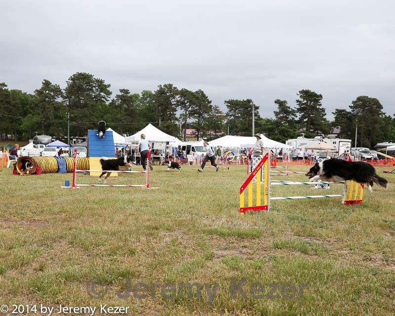 20140614-comp-0166.jpg