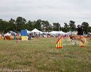 20140614-comp-0177