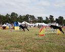 20140614-comp-0185