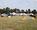 20140614-comp-0188
