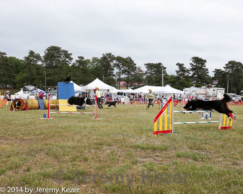 20140614-comp-0169.jpg
