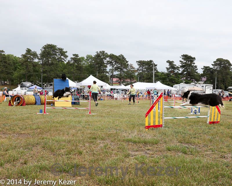 20140614-comp-0171.jpg