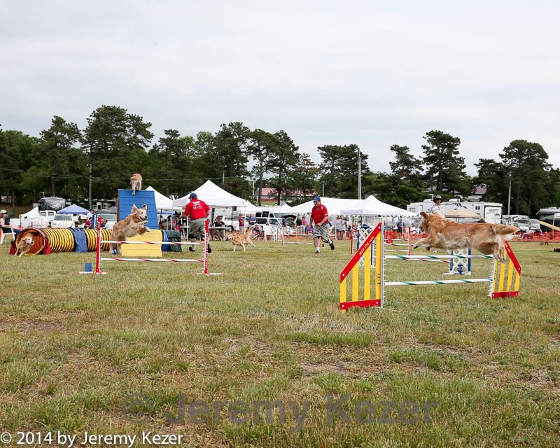 20140614-comp-0174.jpg