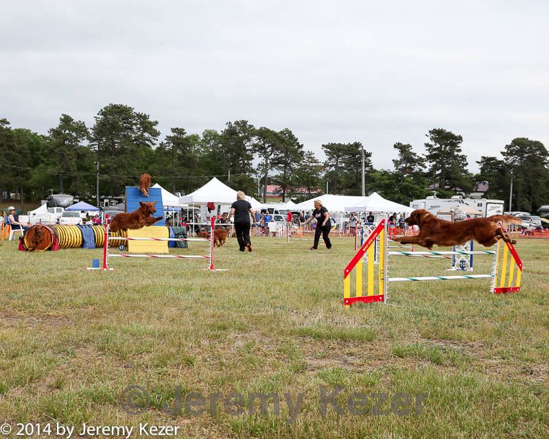 20140614-comp-0175.jpg