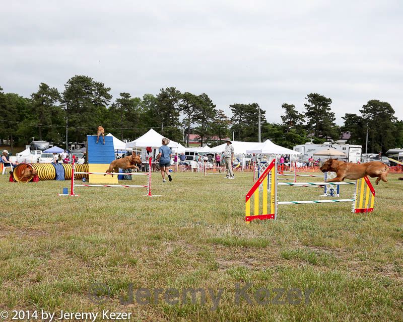 20140614-comp-0176.jpg