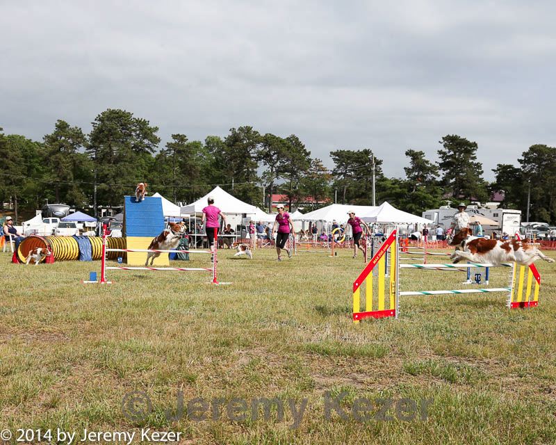 20140614-comp-0180.jpg
