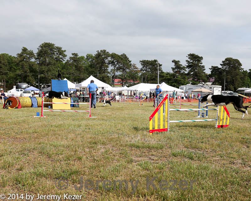 20140614-comp-0181.jpg