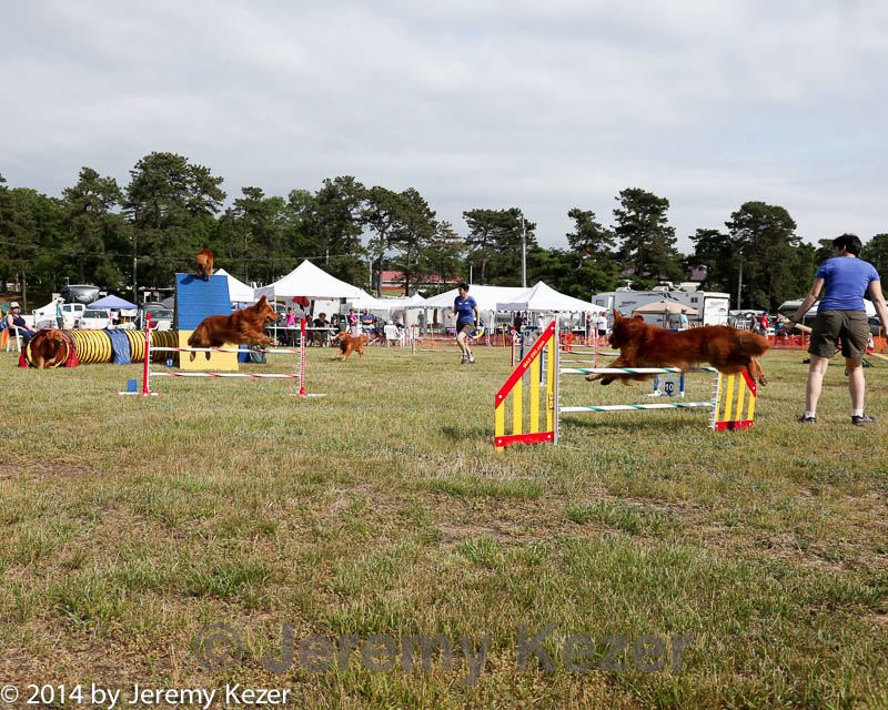 20140614-comp-0183.jpg