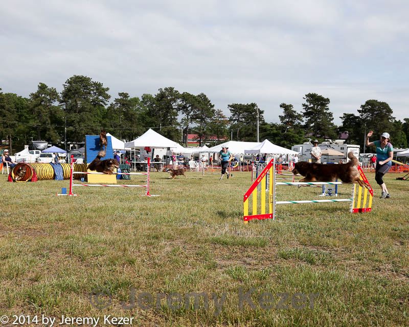 20140614-comp-0184.jpg
