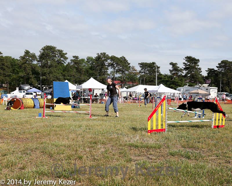 20140614-comp-0187.jpg