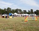 20140614-comp-0196