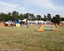 20140614-comp-0197