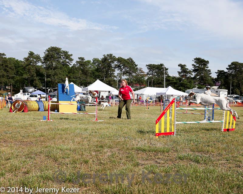 20140614-comp-0194.jpg