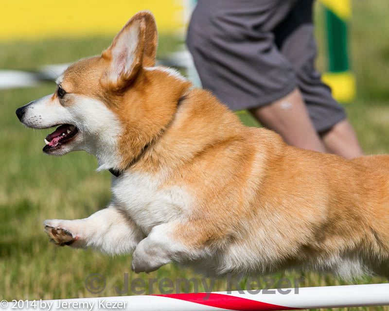 20140615-0214.jpg