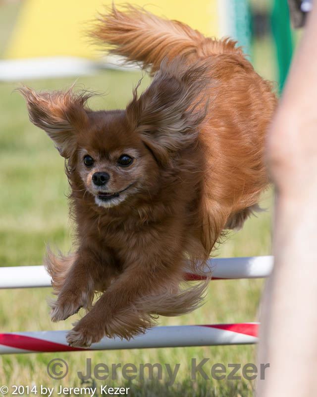20140615-0185.jpg