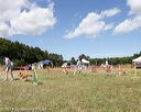 20140615-comp-0158