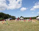 20140615-comp-0162