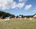 20140615-comp-0164