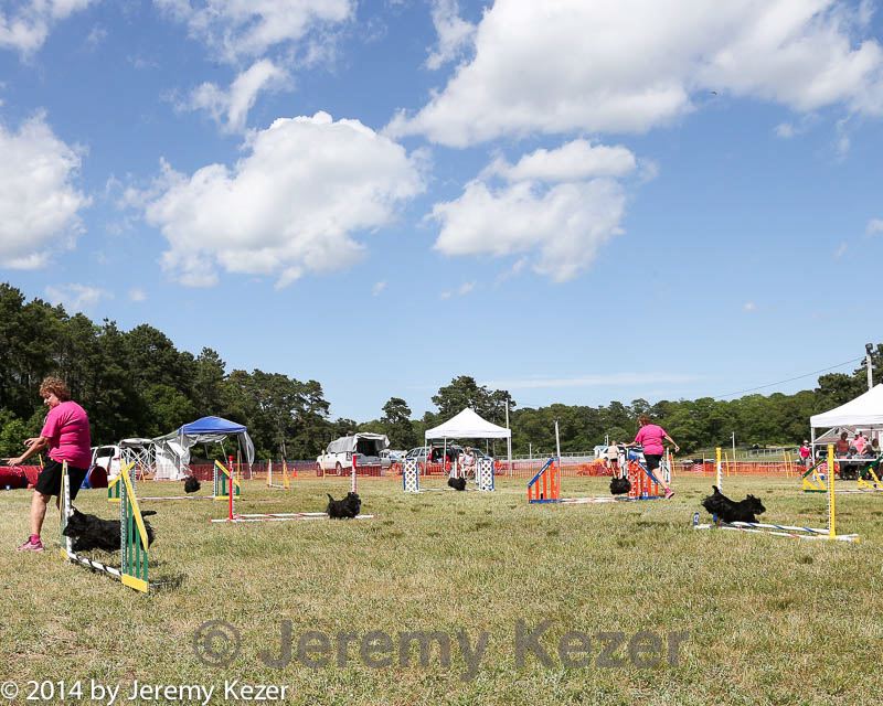 20140615-comp-0156.jpg