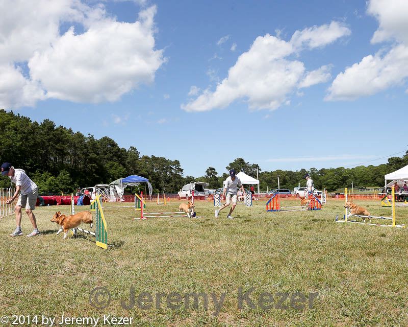 20140615-comp-0158.jpg