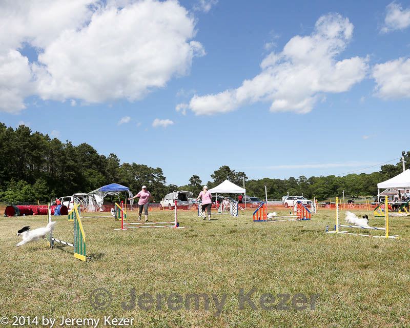 20140615-comp-0160.jpg