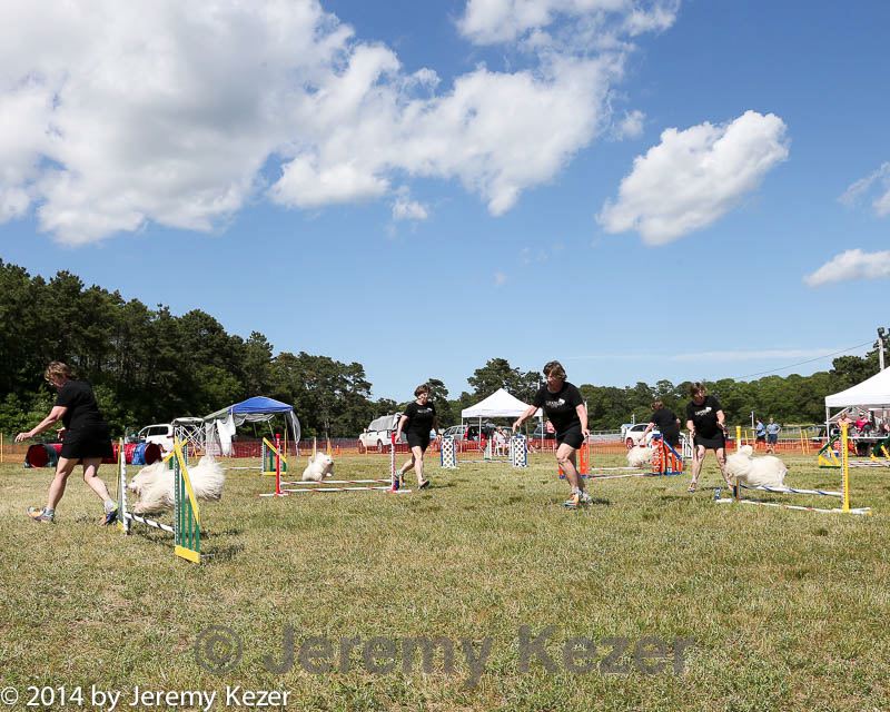 20140615-comp-0164.jpg