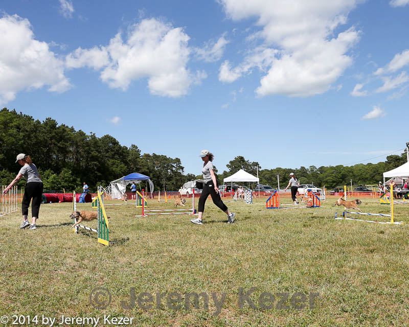 20140615-comp-0169.jpg