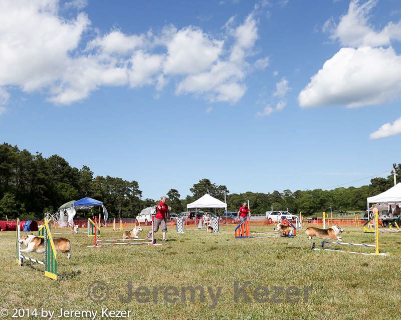 20140615-comp-0172.jpg