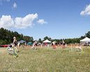 20140615-comp-0145