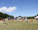 20140615-comp-0151