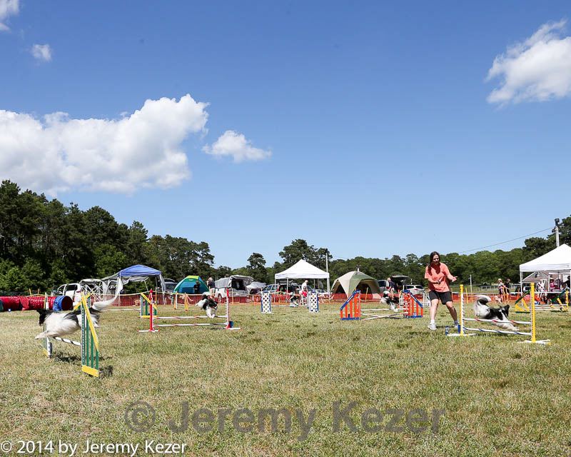 20140615-comp-0144.jpg