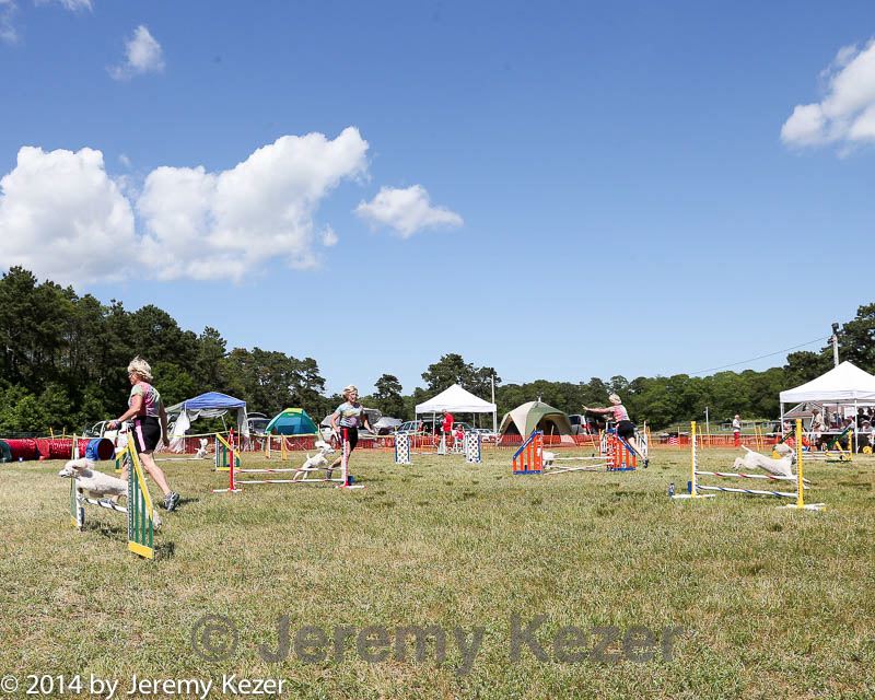 20140615-comp-0145.jpg
