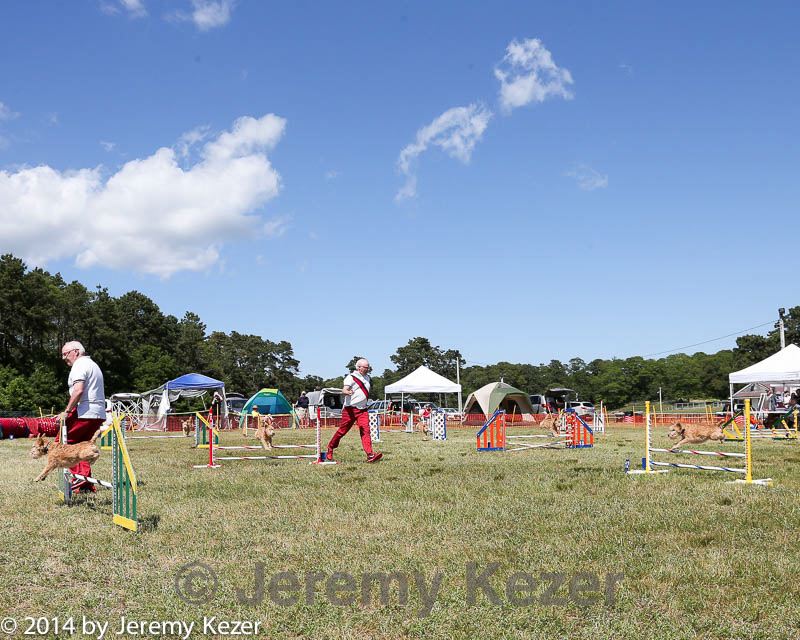 20140615-comp-0149.jpg